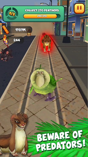 Kakapo Run - Tangkapan Layar 2