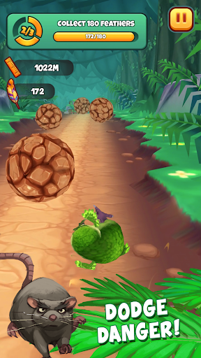 Kakapo Run - Tangkapan Layar 4